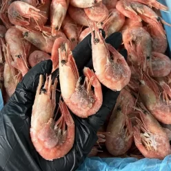 Креветка варено-морожена Polar Seafood, 70/90