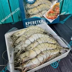 Креветки чорні тигрові з головою, розмір 8/12