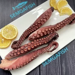 Щупальця восьминога VICI в/м 6-8 (на кг)