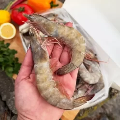 Креветка тигрова з головою, Еквадор, 20/30, упаковка 2кг