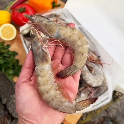 Креветка тигрова з головою, Еквадор, 20/30, упаковка 2кг